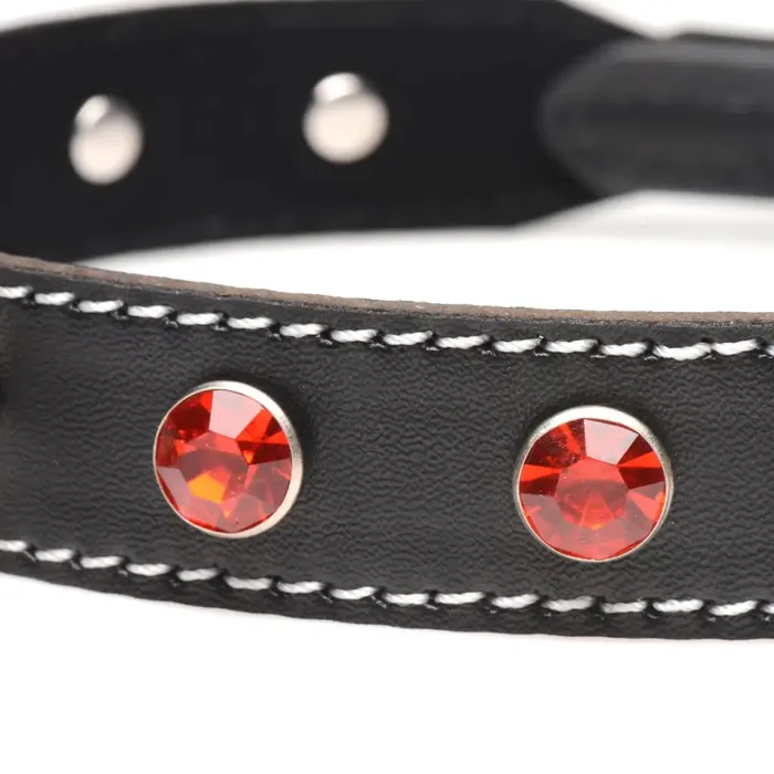 STRICT Male Sex Toys Strict Rhinestone Choker With Oring