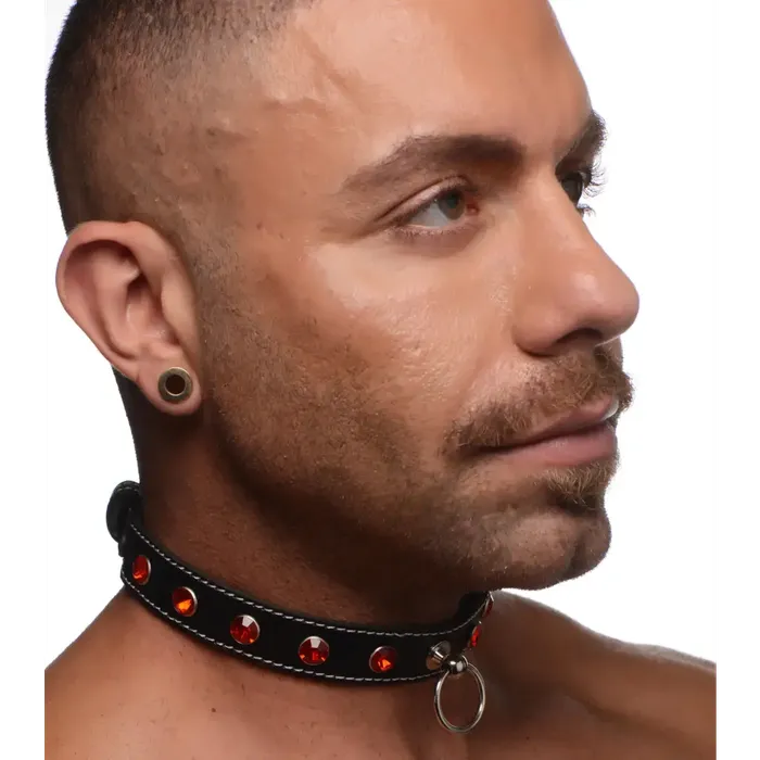 STRICT Male Sex Toys Strict Rhinestone Choker With Oring